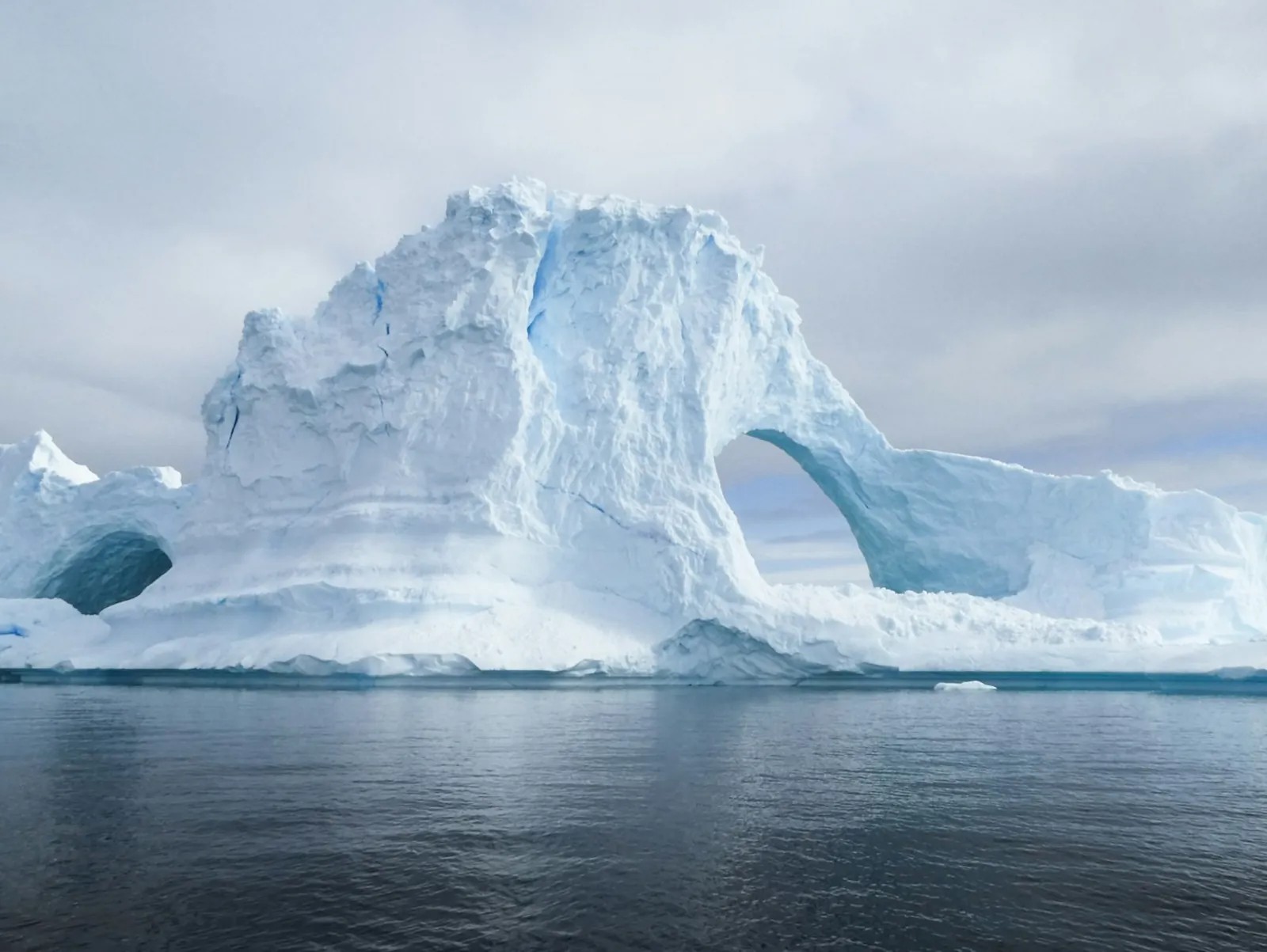 A blue iceberg with a natural arch, floating on still dark Antarctic water.